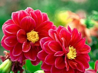 关于居住:夜眠仅需三尺的图片 关于居住:夜眠仅需三尺