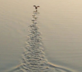 每个瞬间的图片 每个瞬间