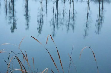 转眼之间，又到月考