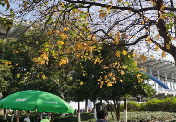 杭州马拉松待续……