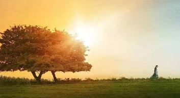 傲慢与偏见续》20：扬格太太为何而来？