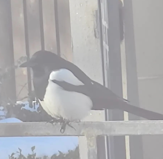 的图片 |发工资啦