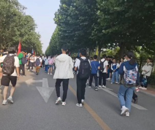 抱歉,没能为你写下365个2023的图片 抱歉,没能为你写下365个2023