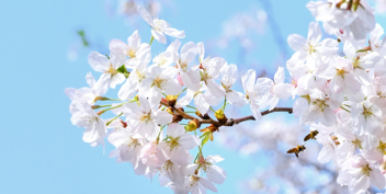 自夸者无功绩;自负者难长久的图片 自夸者无功绩;自负者难长久