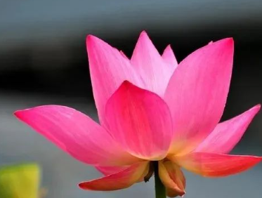 以貌取人,是一个十分常见的现象。的图片 以貌取人,是一个十分常见的现象。