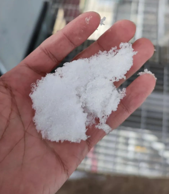 雪飞到这儿啦的图片 雪飞到这儿啦