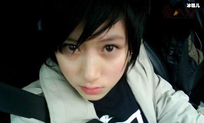 郑靓歆现状如何, 起底她老婆个人资料二人离婚了?