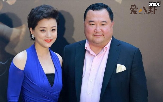 杨澜老公吴征是做什么的? 杨澜与吴征是怎么走到一起的