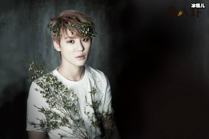 金俊秀女友是谁?和HaNi恋爱不到一年就分手这是为何?