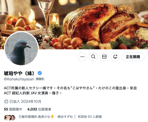 G乳大型新人现身!那只「鳩」的真面目是?
