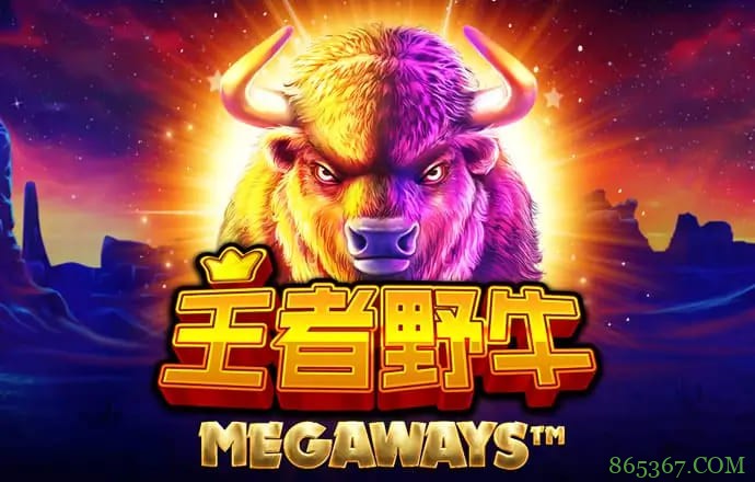 王者野牛——在大发娱乐感受草原霸主的内敛力量