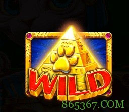 埃及神猫:探寻古埃及的未解之谜