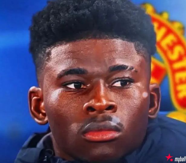 迈博体育 曼联认为巴莱巴已是囊中物!B费告知未来计划